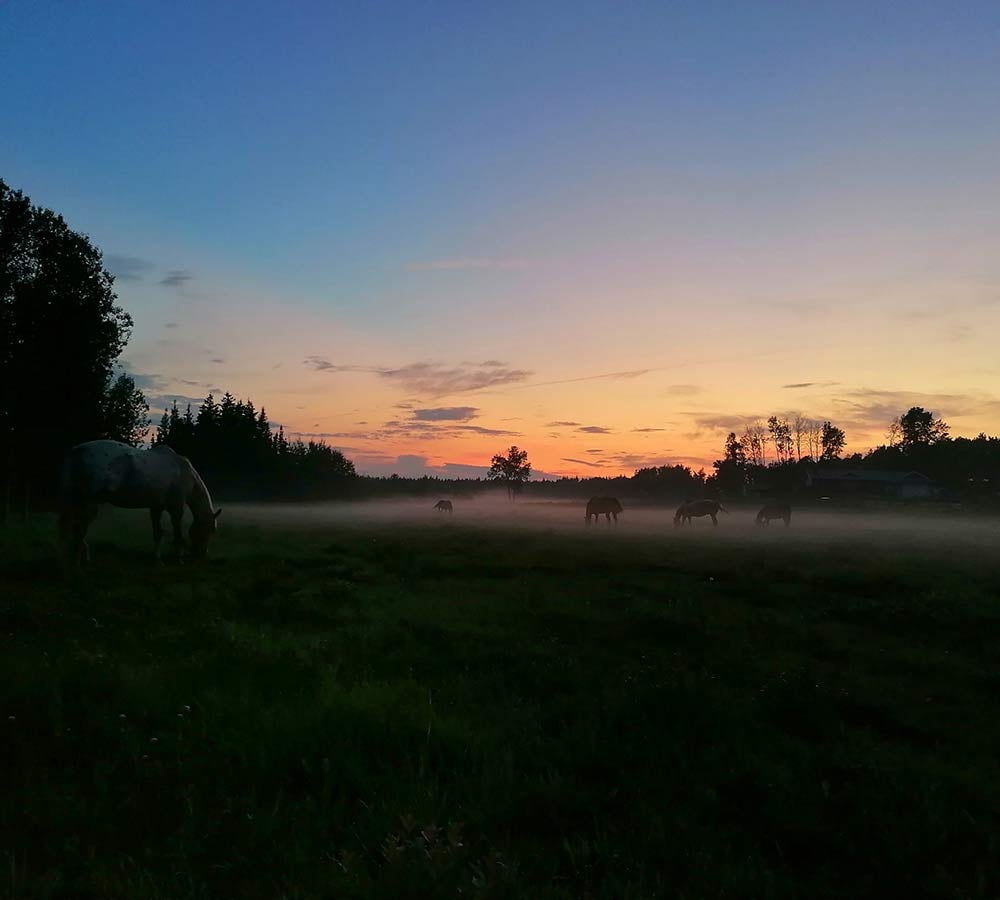 Julia_farmstay_3